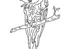 Perroquet #33 (Animaux) - Coloriages À Imprimer pour Images Animaux À Imprimer