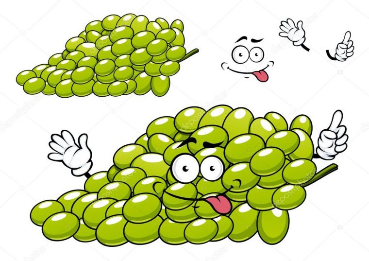 Personnage De Grappe De Raisin Dessin Vert — Image concernant Raisin Dessin