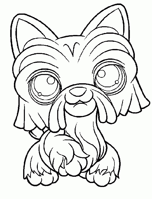 Pet Shop - Coloriage à Coloriage Pet Shop À Imprimer 