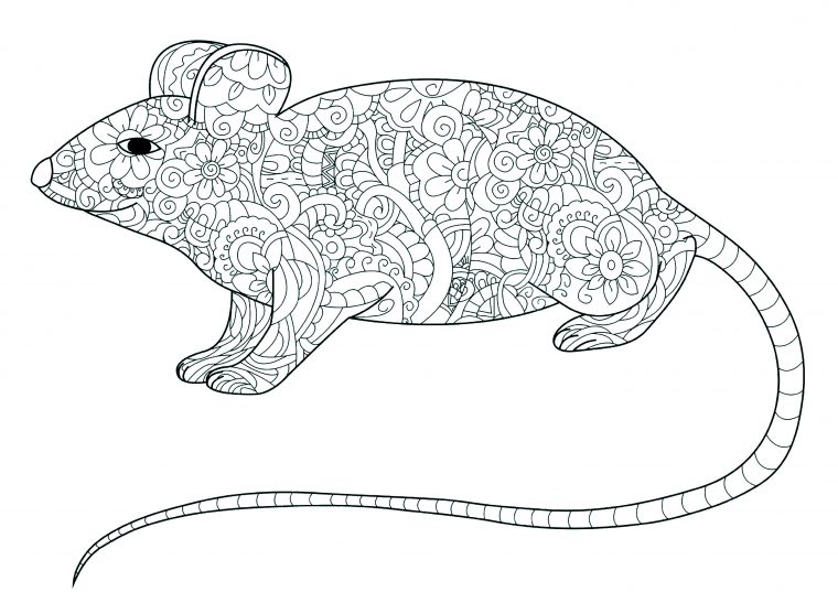 Petite Souris Remplie De Motifs – Souris – Coloriages tout Dessin De Souris Facile