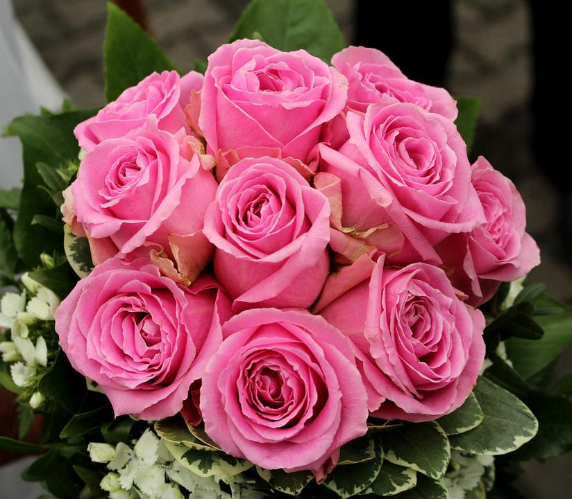 Photo Gratuite: Roses, Fleurs, Rose - Image Gratuite Sur destiné Fleurs Gratuites