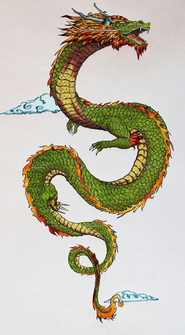 Pin By Christina Frazier On Dessin  Dragon Tattoo Art destiné Dessin Dragon
