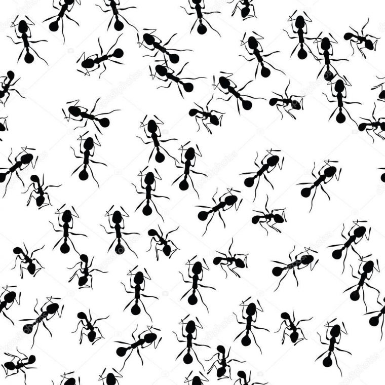 Pin By Da Do On Hormiga Persistente  Ant Pest Control intérieur Dessin Fourmi