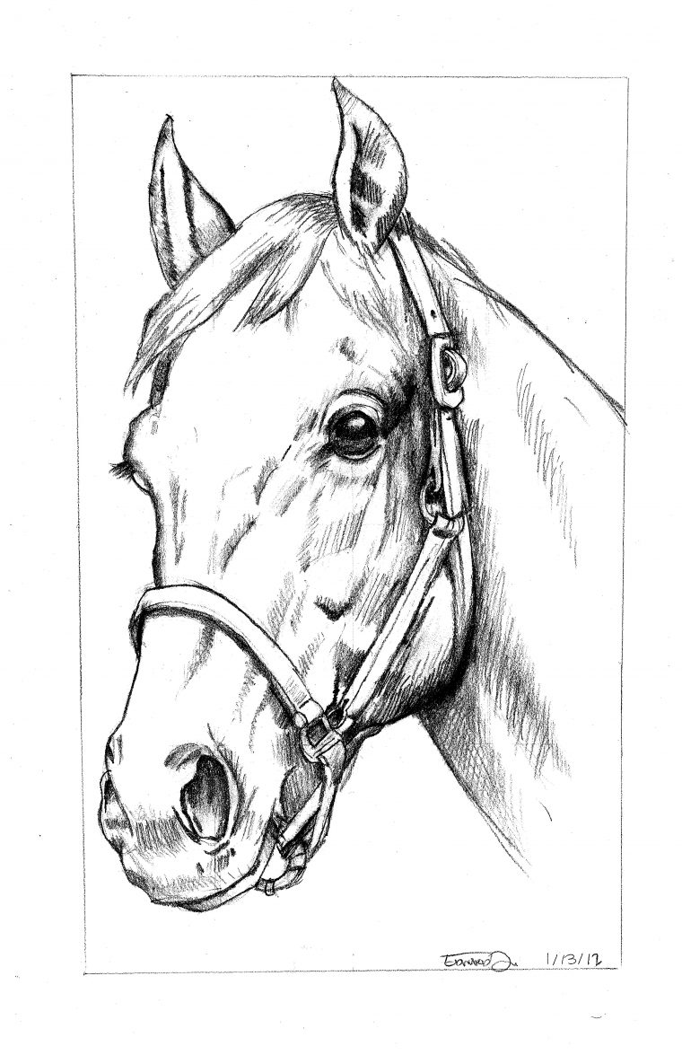 Pin By Delphine Lebon On Ideas For Drawing And Sketching concernant Dessin Facile De Cheval