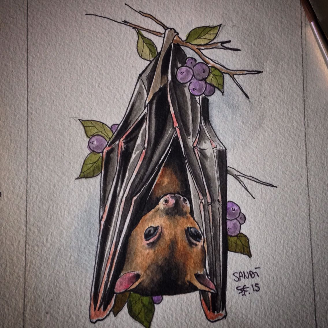 Pin By Lens Rgl On Animales Sorprendentes  Bat Tattoo avec Chauve Souris Dessin