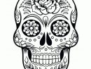 Pin By Lorena Rasgado On Halloween  Skull Coloring Pages serapportantà Tete De Mort Dessin Facile