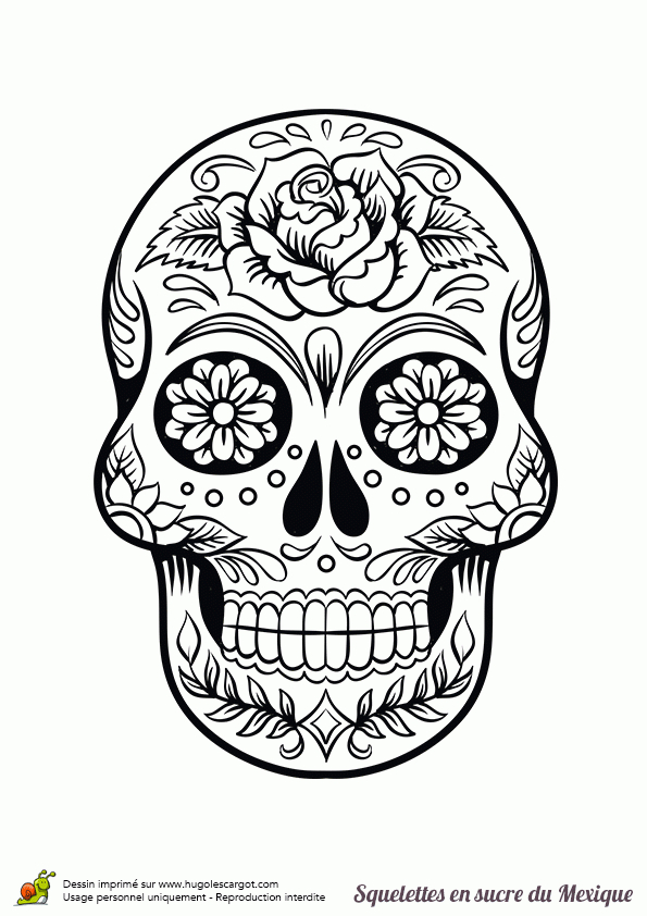 Pin By Lorena Rasgado On Halloween  Skull Coloring Pages serapportantà Tete De Mort Dessin Facile 