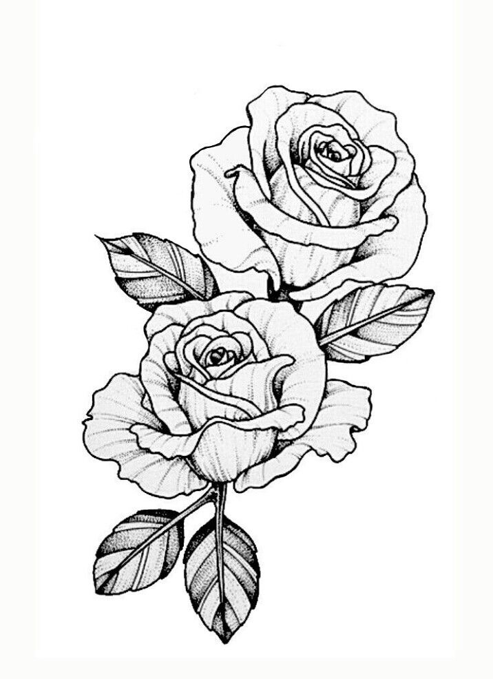 Pin By Miguelita Moore On Rose Drawings  Tattoo Design dedans Rose Dessin 