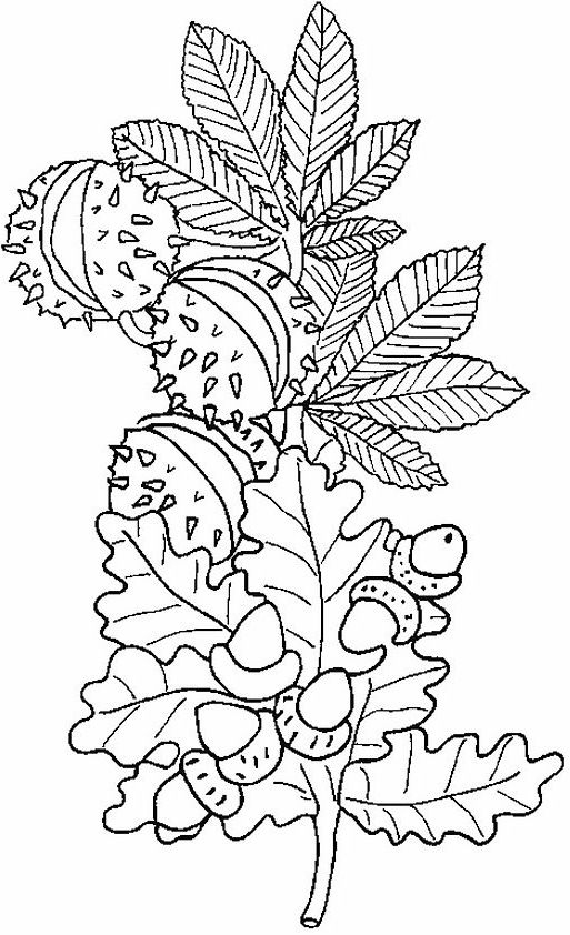 Pin By Nathalie Monio On Coloriage Automne  Wool tout Automne Dessin 