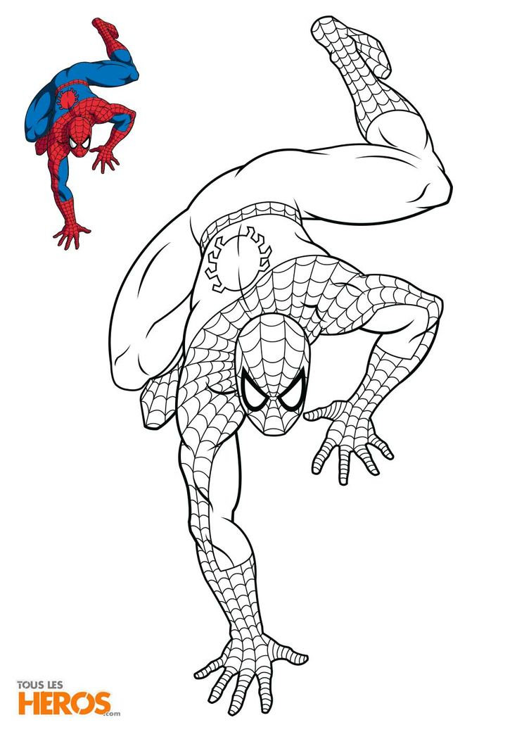 Pin By Samira Ahmed On Dessins  Spiderman Coloring destiné Modèle Coloriage 