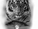 Pin De Debbie Adair En Cats  Tatuaje De Tigre, Dibujo encequiconcerne Dessin De Tigre Blanc