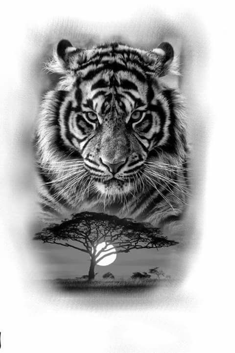 Pin De Debbie Adair En Cats  Tatuaje De Tigre, Dibujo encequiconcerne Dessin De Tigre Blanc 