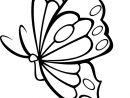 Pin On A Imprimer: Papillons destiné Papillon Dessin