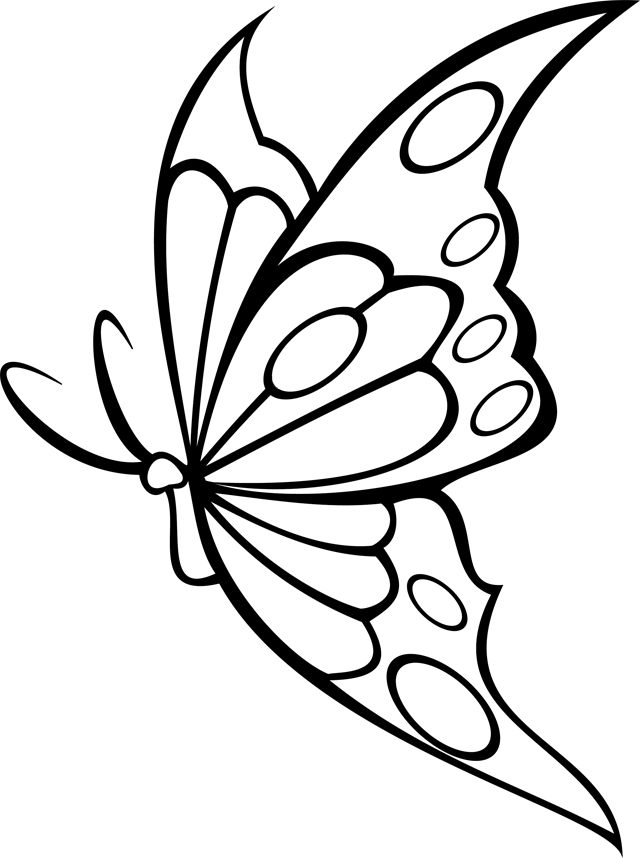 Pin On A Imprimer: Papillons destiné Papillon Dessin 