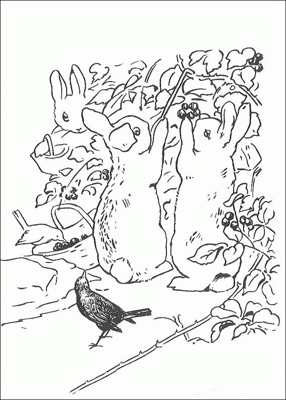 Pin On Bunny Rabbit Hares intérieur Dessin Pierre Lapin 