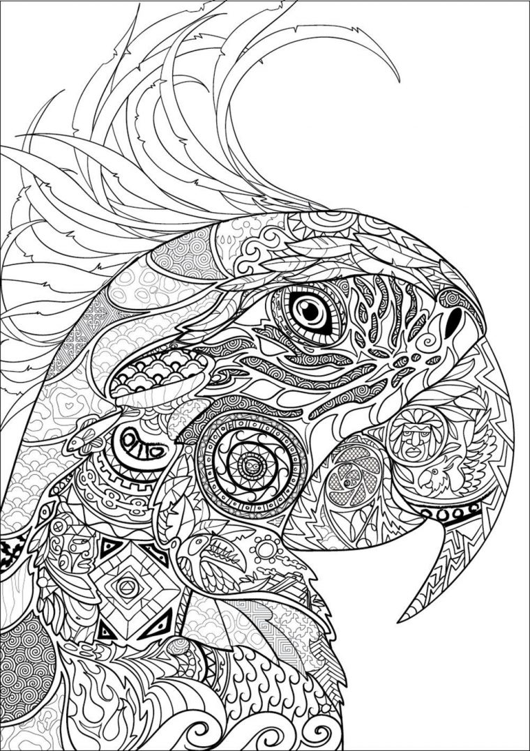 Pin On Coloring Pages avec Coloriage Compliqué