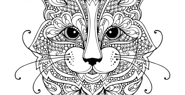 Pin On Félins Pages De Coloriage Chat, Lion, Tigre – Cat tout Coloriage Félins