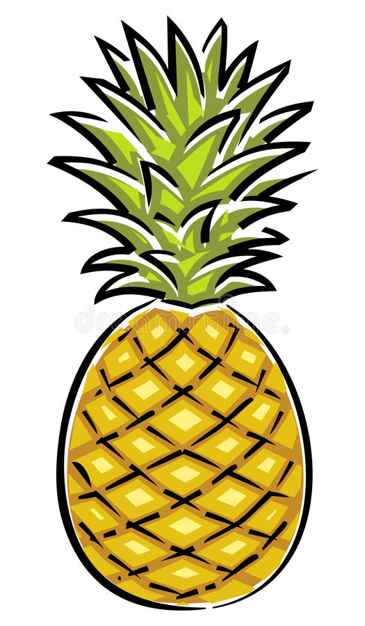 Pineapple Vector Illustration Stock Vector - Illustration tout Dessin Ananas 