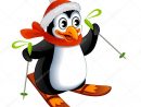Pingouin Dessin Animé Sur Ski — Image Vectorielle Alka5051 pour Dessins De Pingouins