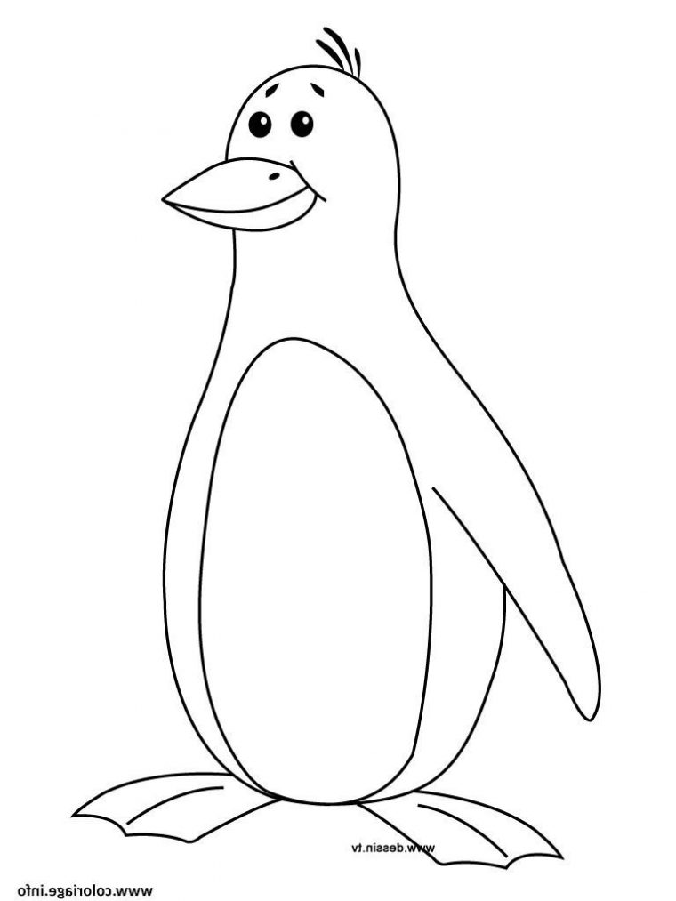 Pingouin Dessin Facile Luxe Galerie Coloriage Pingouin à Dessin Facile Enfant