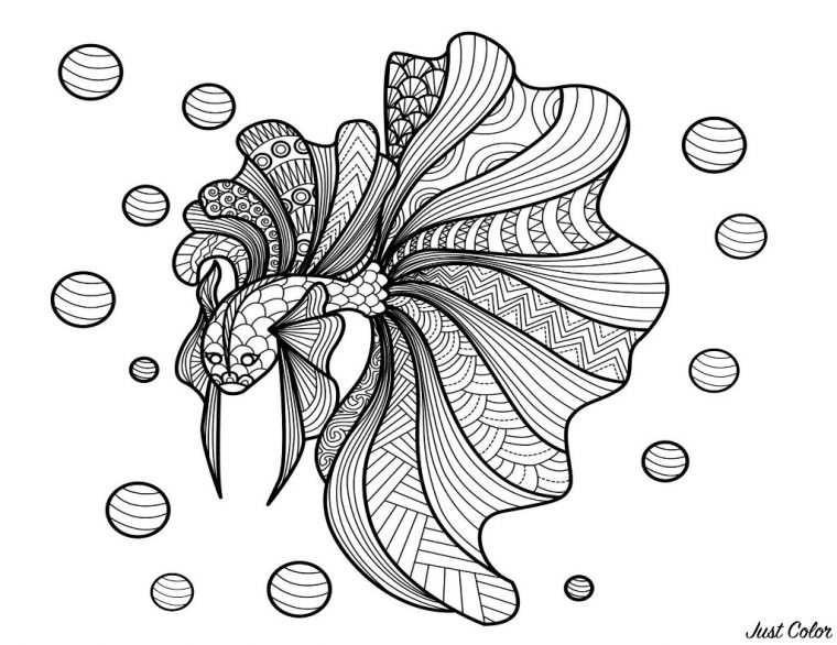 Poisson Bimdeedee – Poissons – Coloriages Difficiles Pour serapportantà Coloriage Poisson