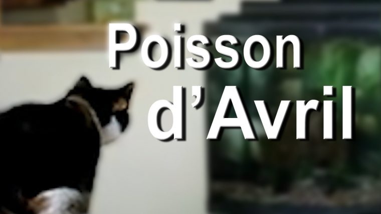 Poisson D'Avril Short Film : Happy April Fish Day intérieur Poisson D Avril Film