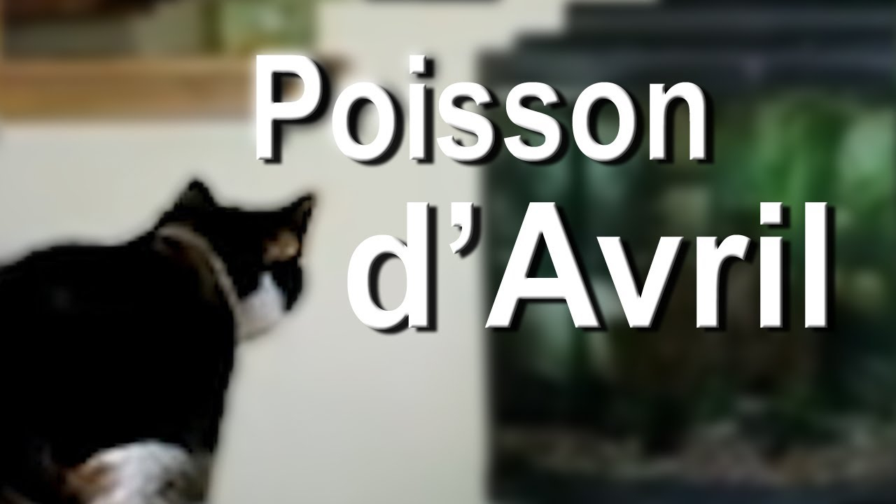 Poisson D&amp;#039;Avril Short Film : Happy April Fish Day intérieur Poisson D Avril Film 
