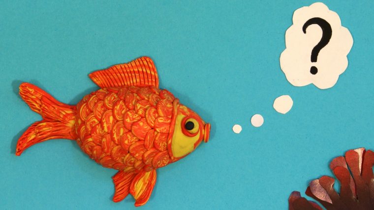 Poisson Rouge Dans Un Bocal Dessin pour Dessiner Un Poisson Rouge