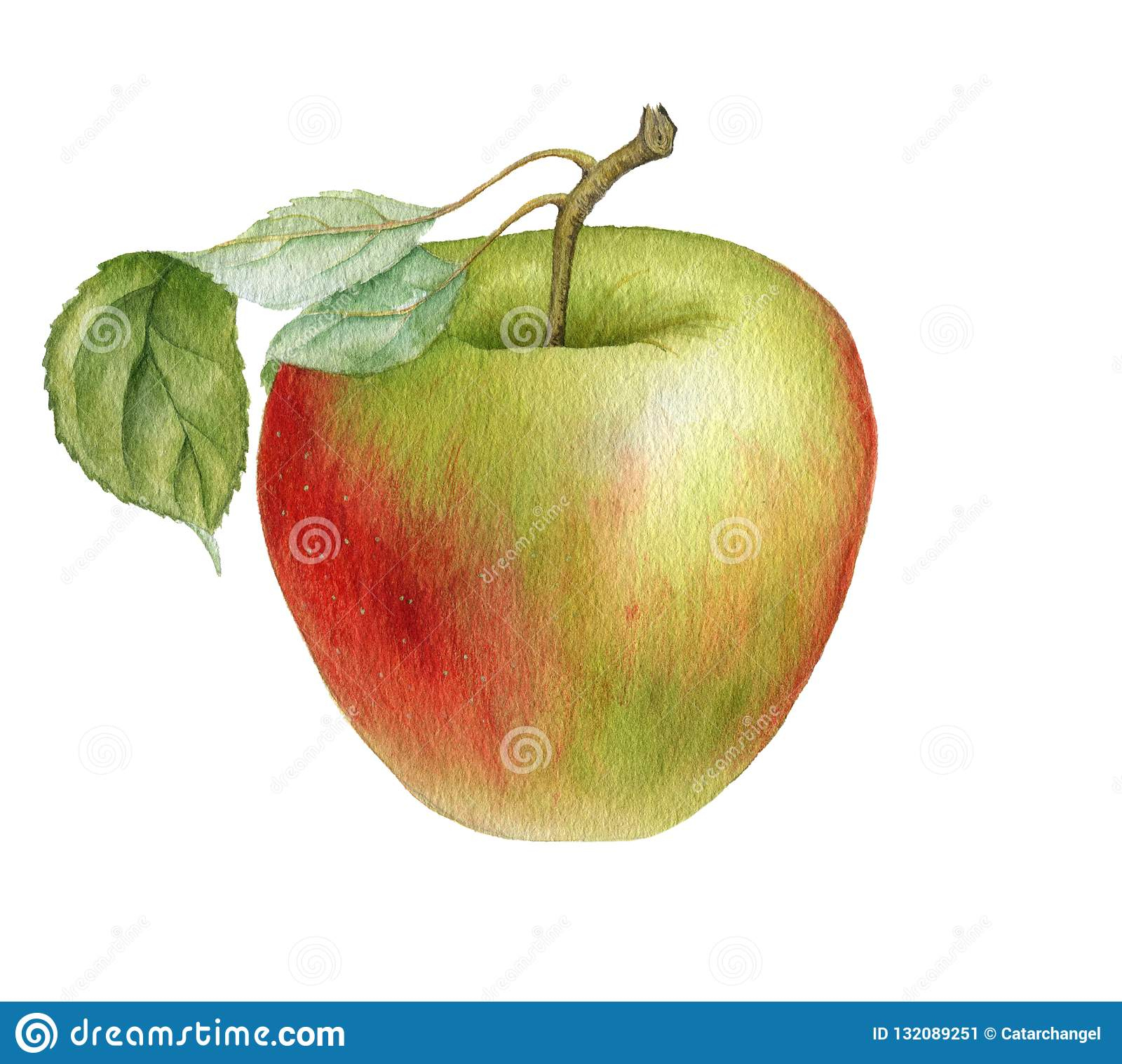 Pomme De Dessin D'Aquarelle Illustration Stock intérieur Pomme Dessin