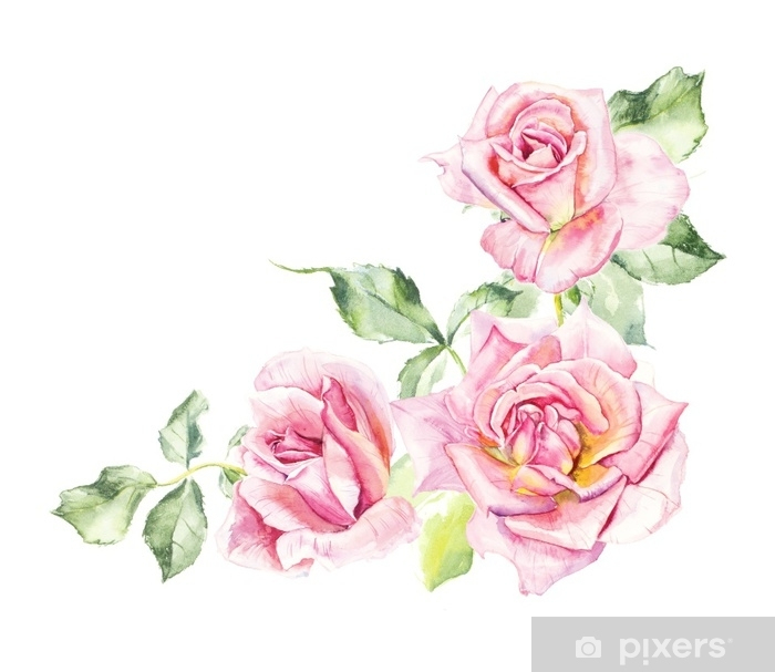 Poster Rosier. Motif De Rose Rose. Dessins De Mariage dedans Dessin Rosier 