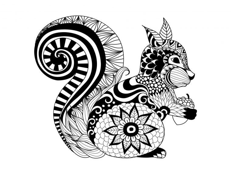 Pour Zentangle Ecureuil – Coloriage Adulte – Coloriages avec Coloriage Compliqué