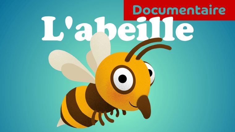 Pourquoi L'Abeille Fait Du Miel ? Documre Animé Pour avec Dessiner Une Abeille