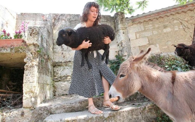 Premier Cri Ce Soir Pour Le Mouton Noir pour Mouton Cri