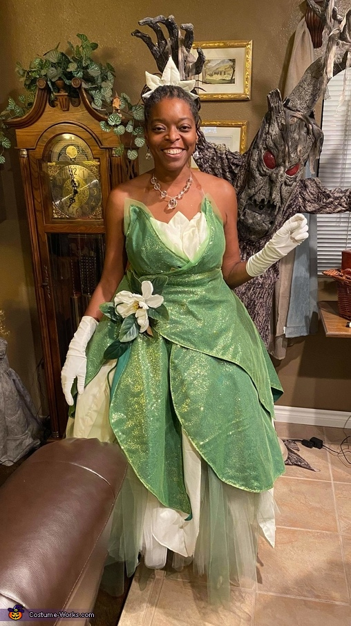 Princess Tiana Costume encequiconcerne Princess Princesses 