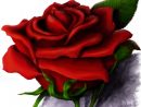 Red Rose Drawings - Clipart Best avec Rose Dessin