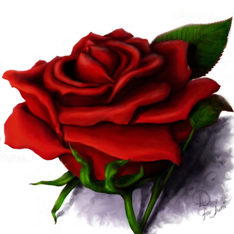 Red Rose Drawings – Clipart Best avec Rose Dessin