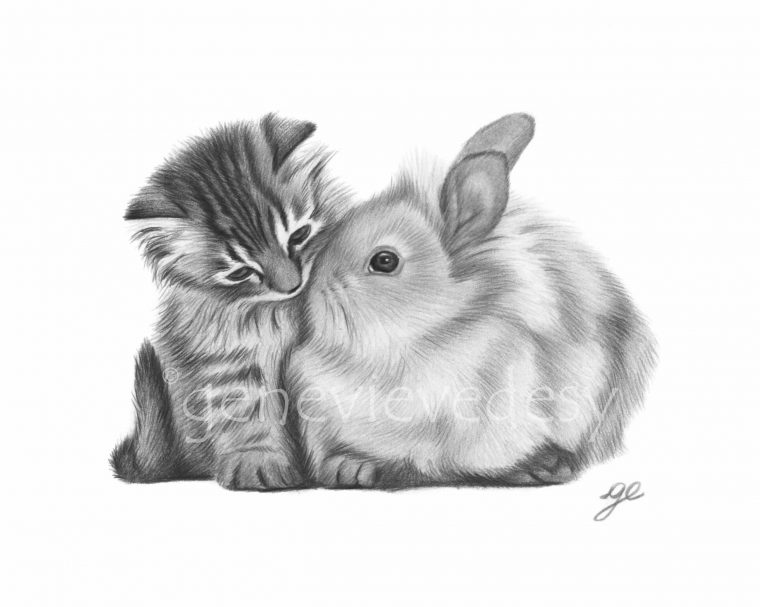 Reproduction En Noir Et Blanc D'Un Dessin Aux Crayons De encequiconcerne Lapin Dessin Couleur