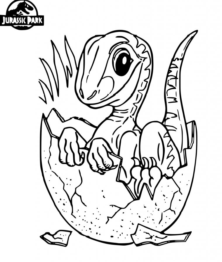 Résultat De Recherche D'Images Pour "Coloriage Bébé tout Image De Dinosaure A Imprimer