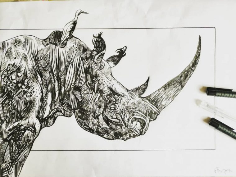 Rhinoceros – Art Pour Tous destiné Dessin Rhinocéros