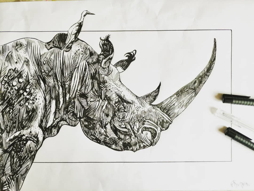 Rhinoceros - Art Pour Tous destiné Dessin Rhinocéros 