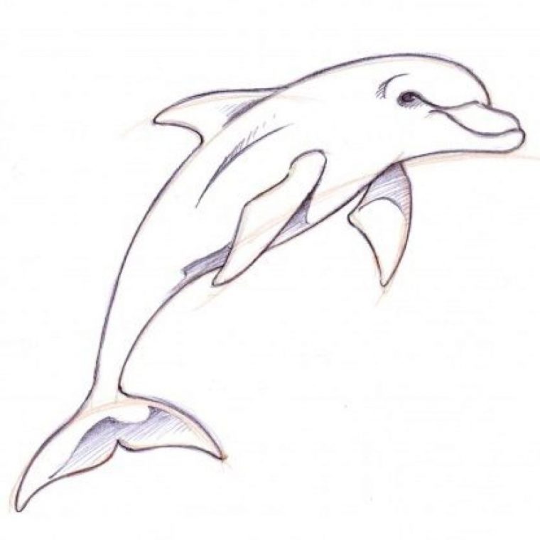 #Robotsillustration  Dolphin Drawing, Drawings, Animal pour Dessin Dauphins