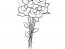 Roses Image Gratuite - Divers À Colorier - Coloriages A pour Rose À Colorier