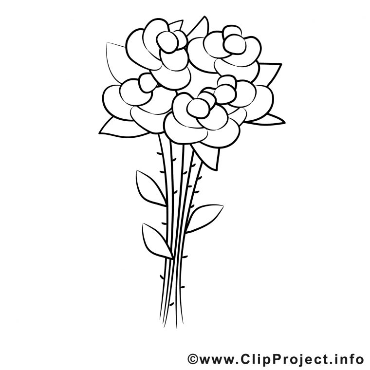 Roses Image Gratuite – Divers À Colorier – Coloriages A pour Rose À Colorier