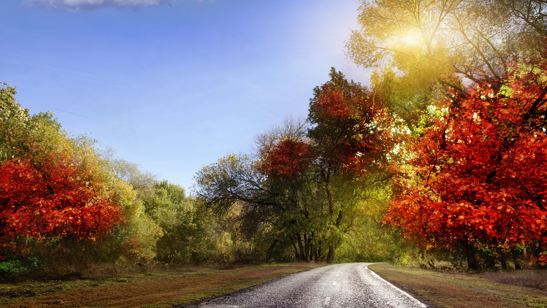 Route En Automne - Fond D&amp;#039;Écran Hd concernant La Nature En Printemps 