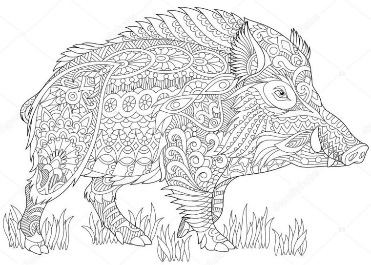 Sanglier Stylisé Zentangle Image Vectorielle Par Sybirko avec Dessin Sanglier Imprimer