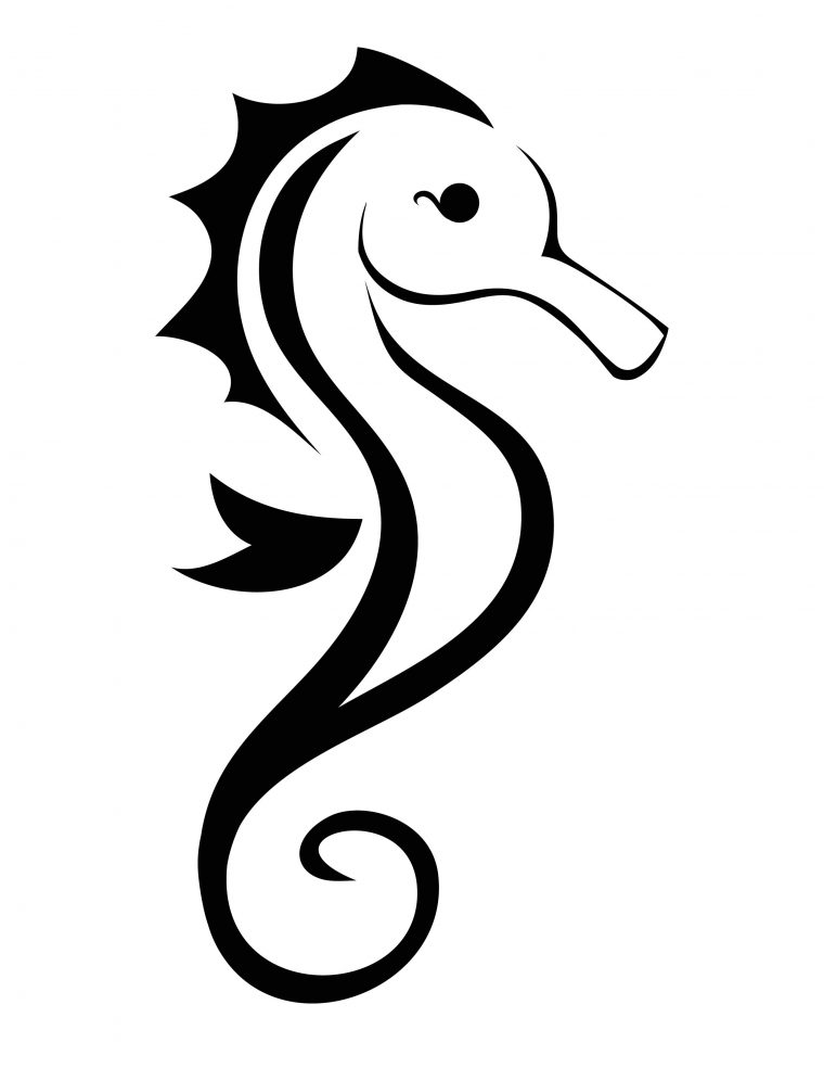 Seahorse_By_Blackgriffon 2.550×3.300 Pixels  Seahorse dedans Hippocampe Dessin