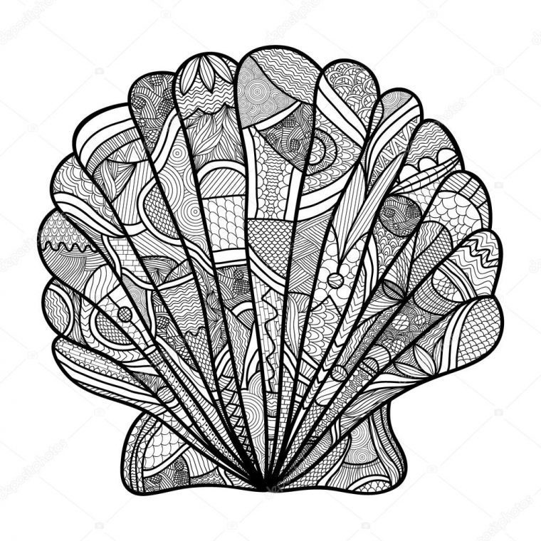 Seashell. Coque Dessinée À La Main – Coloriage Anti Stress intérieur Coloriage De Coquillage