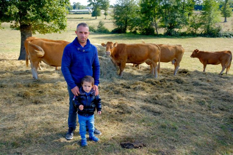 Sécheresse : Le Cri D'Alarme D'Un Éleveur De Lapalisse avec Cri De La Vache