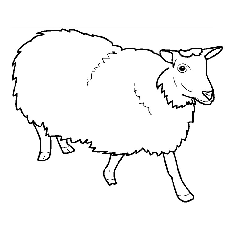 Sélection De Coloriage Mouton À Imprimer Sur Laguerche serapportantà Le Mouton Dessin