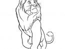 Sélection De Dessins De Coloriage Le Roi Lion À Imprimer intérieur Coloriage Lion